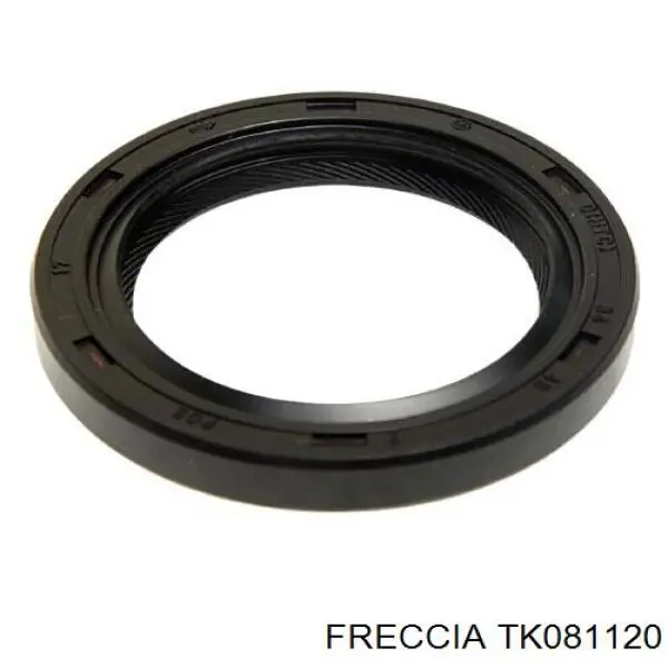 Do koszyka 2443103002 Hyundai/Kia Łańcuch rozrządu, zestaw