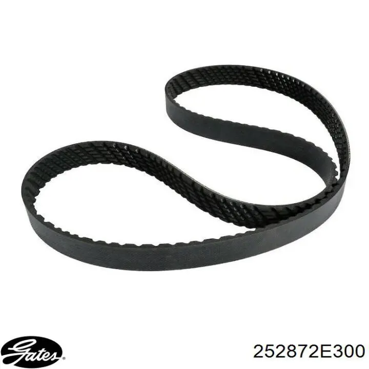 Rolka napinacza paska napędowego Gates 252872E300 cena, od 26,39 USD