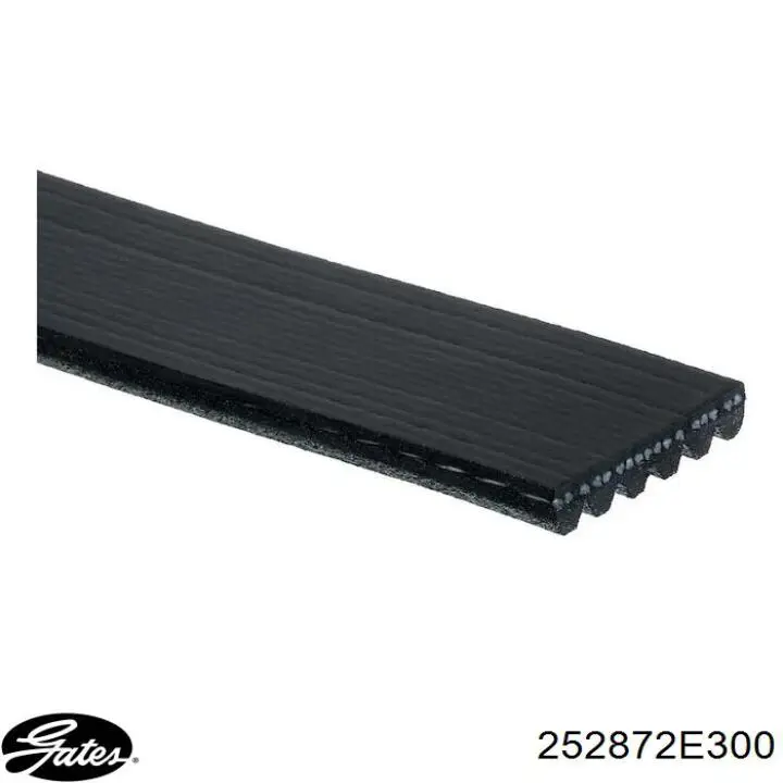 252872E300 Gates Rolka napinacza paska napędowego