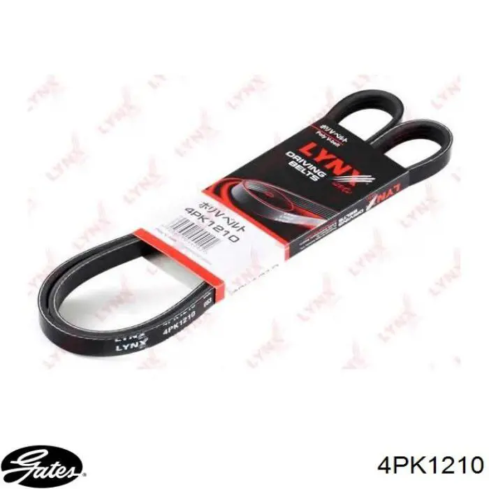 Do koszyka 9091602543 Toyota Pas napędowy mechanizmów
