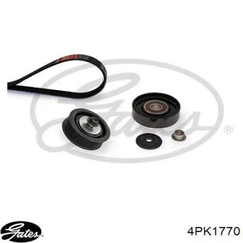 Pas napędowy mechanizmów Gates 4PK1770 cena, od 19,55 USD