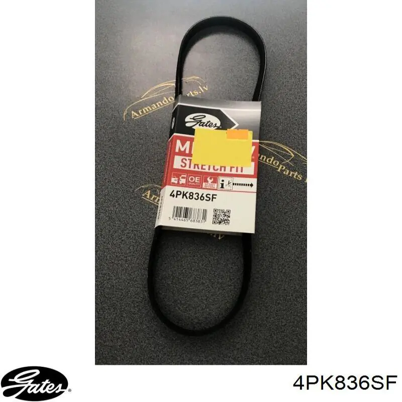 Do koszyka SR4PK888 Starline Pas napędowy mechanizmów