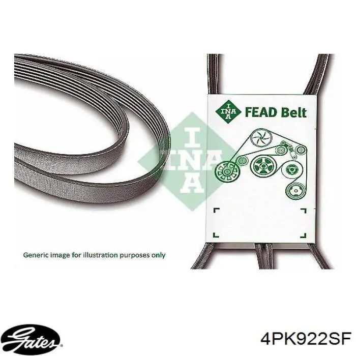 Pas napędowy mechanizmów Gates 4PK922SF cena, od 11,28 USD