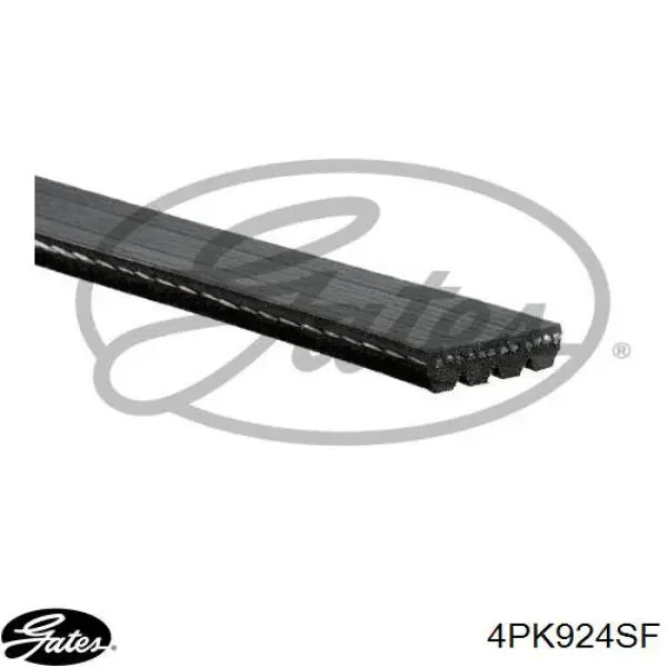 Do koszyka CY0115907 Mazda Pas napędowy mechanizmów