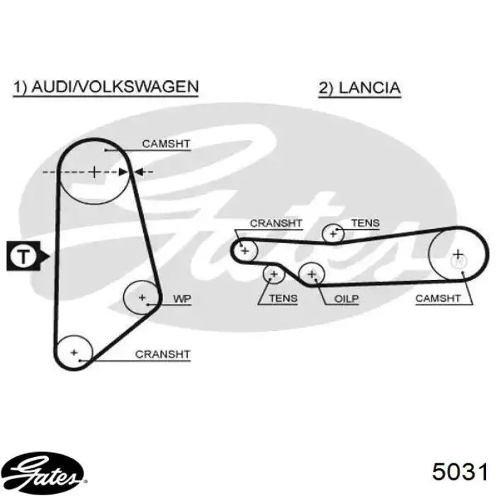 Pasek rozrządu Gates 5031 cena, od 10,50 USD