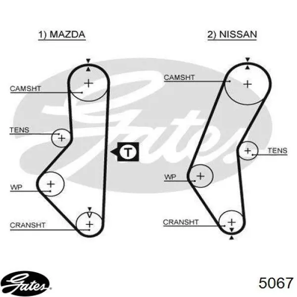 5067 Gates Pasek rozrządu