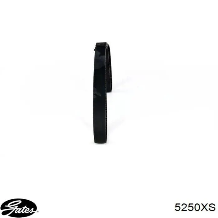 Pasek rozrządu Mitsuboshi 92ZBS19 cena, od 13,31 USD