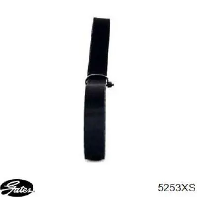 Pasek rozrządu Dayco 94399 cena, od 41,78 USD