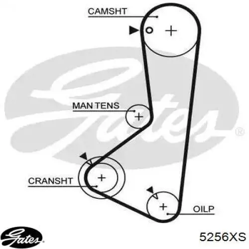 Do koszyka MD120487 Hyundai/Kia Pasek rozrządu