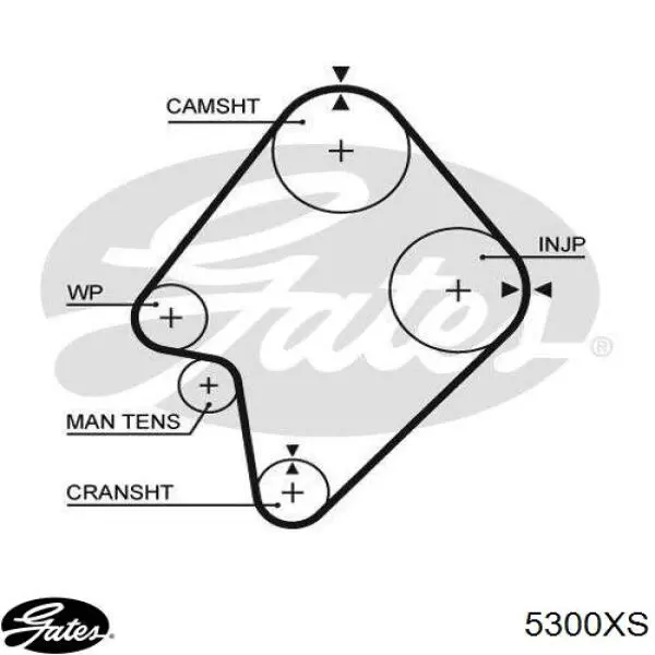 5300XS Gates Pasek rozrządu