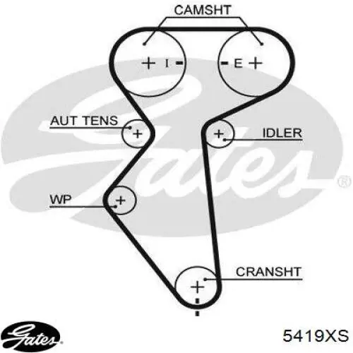 Pasek rozrządu 94241 Dayco