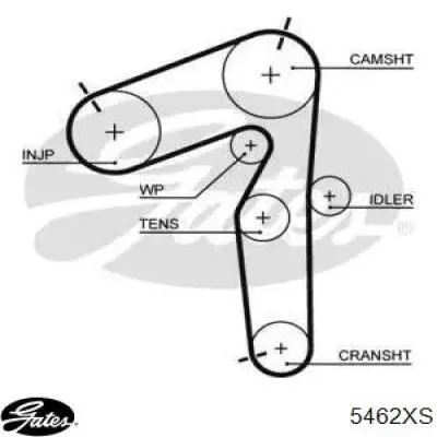 5462XS Gates Pasek rozrządu