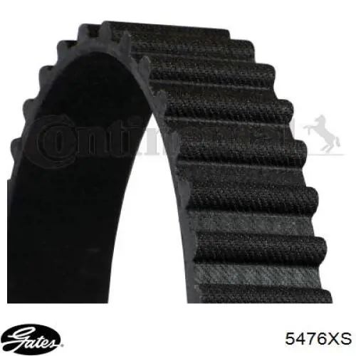60674528 Fiat/Alfa/Lancia Pasek rozrządu