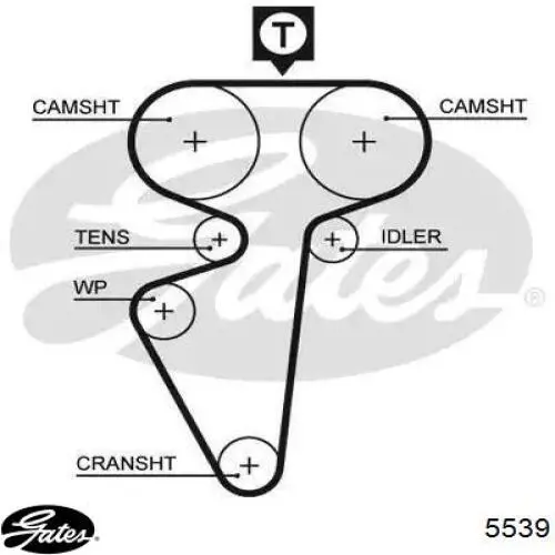 Pasek rozrządu Gates 5539 cena, od 14,34 USD