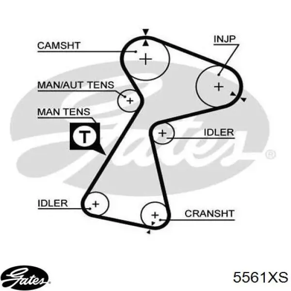 Pasek rozrządu Gates 5561XS cena, od 51,45 USD