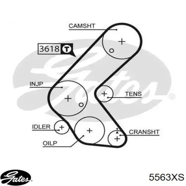 Pasek rozrządu Gates 5563XS cena, od 42,25 USD