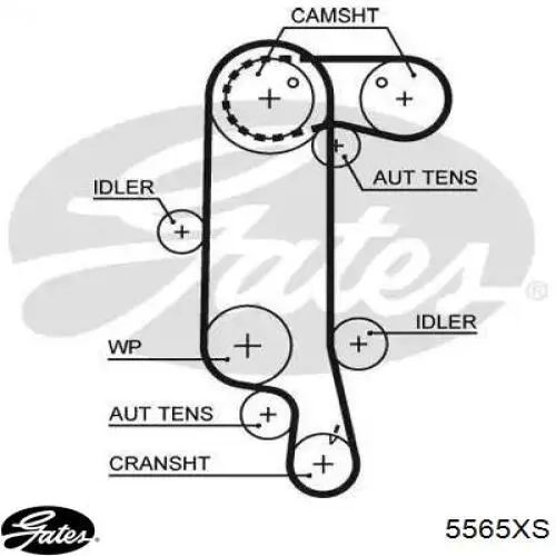 Pasek rozrządu Gates 5565XS cena, od 30,75 USD