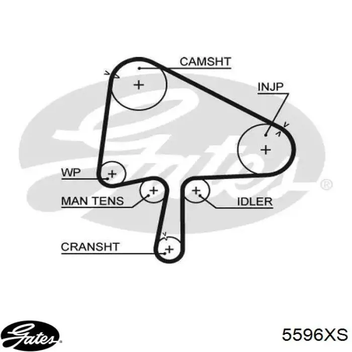 Pasek rozrządu Gates 5596XS cena, od 107,26 USD