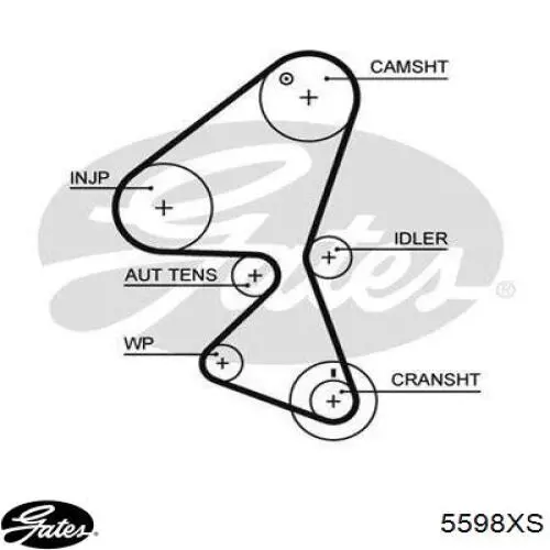 Do koszyka 5598XS Gates Pasek rozrządu