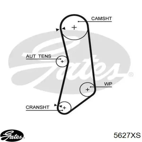 Pasek rozrządu 71753156 Fiat/Alfa/Lancia