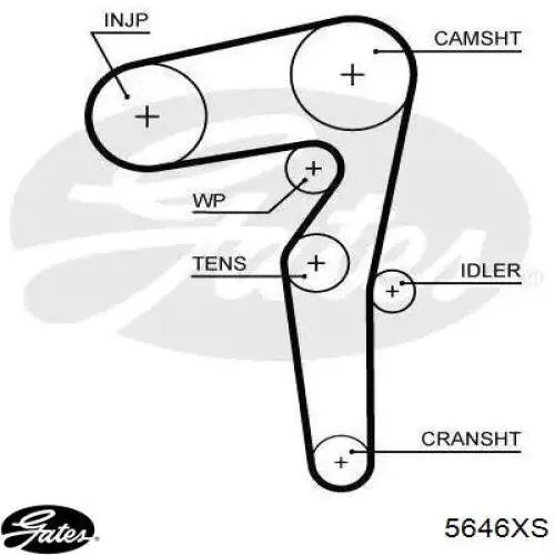 Pasek rozrządu Gates 5646XS cena, od 55,73 USD