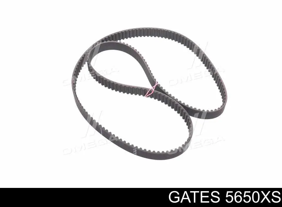 Pasek rozrządu Gates 5650XS cena, od 38,29 USD