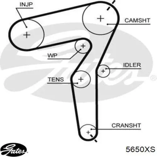 Do koszyka 5650XS Gates Pasek rozrządu