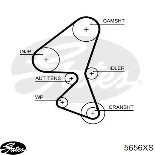 Pasek rozrządu Gates 5656XS cena, od 48,19 USD