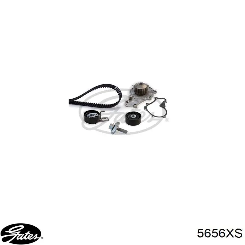 Do koszyka 5656XS Gates Pasek rozrządu