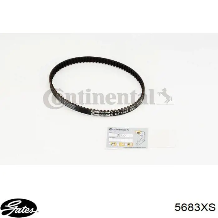 Pasek rozrządu Hutchinson 087HTDP10 cena, od 16,14 USD