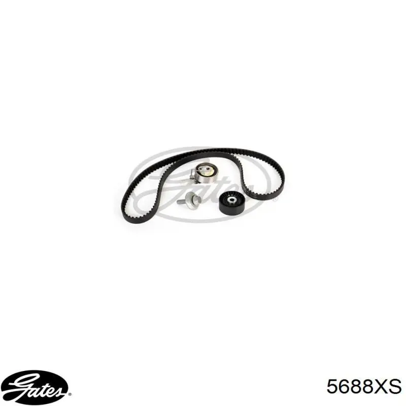 Pasek rozrządu Ford 1872494