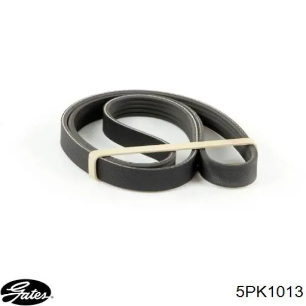 Pas napędowy mechanizmów Gates 5PK1008