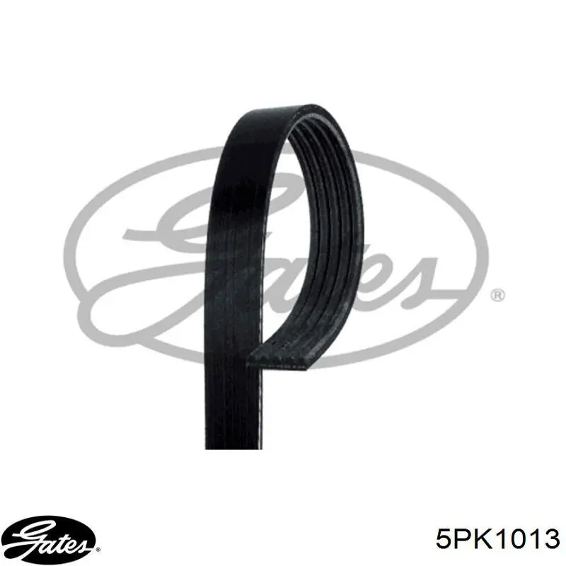 Do koszyka 5PK1008 Gates Pas napędowy mechanizmów