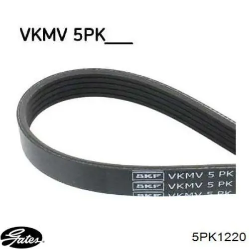 Pas napędowy mechanizmów Gates 5PK1220 cena, od 13,83 USD