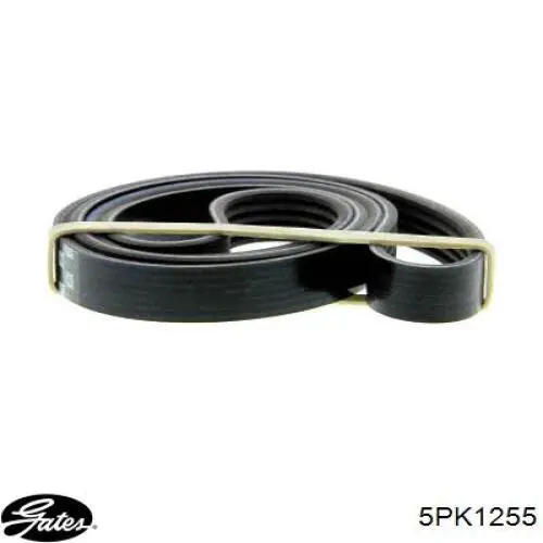 Pas napędowy mechanizmów Gates 5PK1255 cena, od 15,73 USD