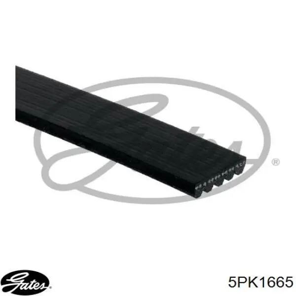 Pas napędowy mechanizmów Gates 5PK1665 cena, od 27,20 USD