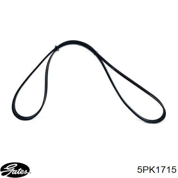 Pas napędowy mechanizmów Gates 5PK1715 cena, od 17,38 USD
