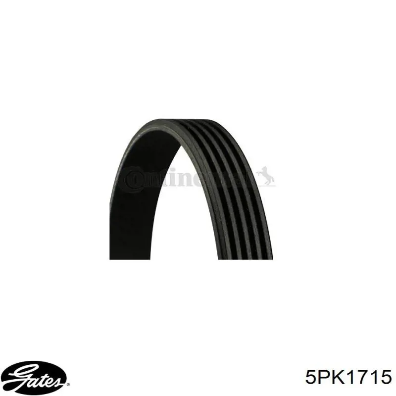 Do koszyka A0149971492 Mercedes Pas napędowy mechanizmów