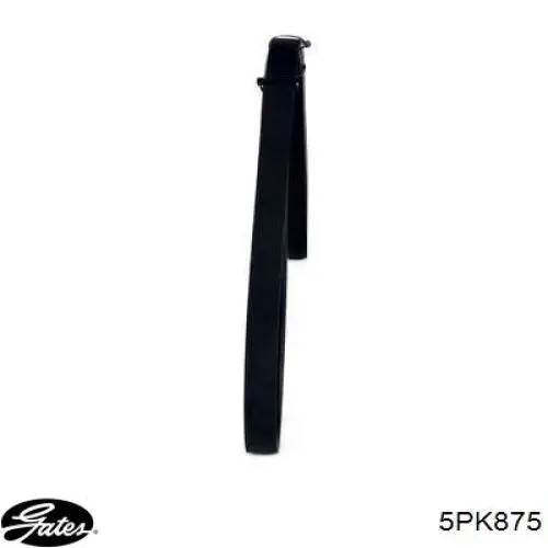 Pas napędowy mechanizmów Gates 5PK875 cena, od 7,82 USD