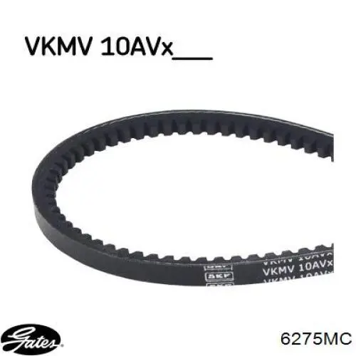 Pas napędowy mechanizmów 10A1010C Dayco