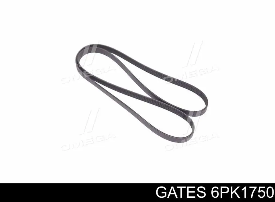 6PK1750 Gates pas napędowy mechanizmów