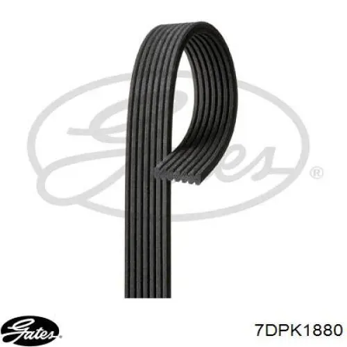 Pas napędowy mechanizmów Gates 7DPK1880 cena, od 43,27 USD