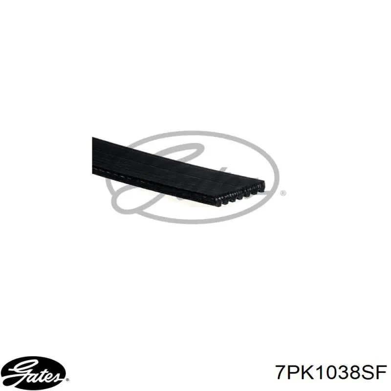 Pas napędowy mechanizmów Febi 188465 cena, od 23,36 USD