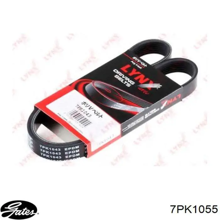 Pas napędowy mechanizmów Gates 7PK1057EST cena, od 25,46 USD
