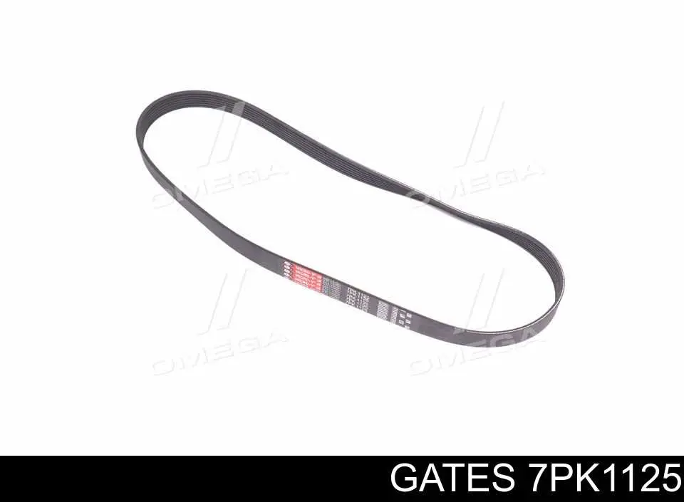 Pas napędowy mechanizmów Gates 7PK1125 cena, od 15,82 USD