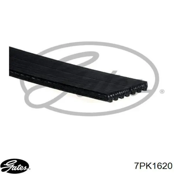 Pas napędowy mechanizmów Gates 7PK1620 cena, od 24,03 USD