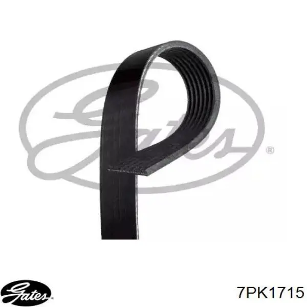 Pas napędowy mechanizmów Gates 7PK1715 cena, od 22,45 USD