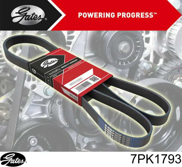 Pas napędowy mechanizmów Gates 7PK1793 cena, od 22,31 USD
