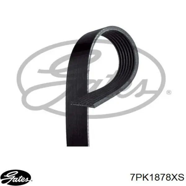Pas napędowy mechanizmów Gates 7PK1878XS cena, od 21,81 USD