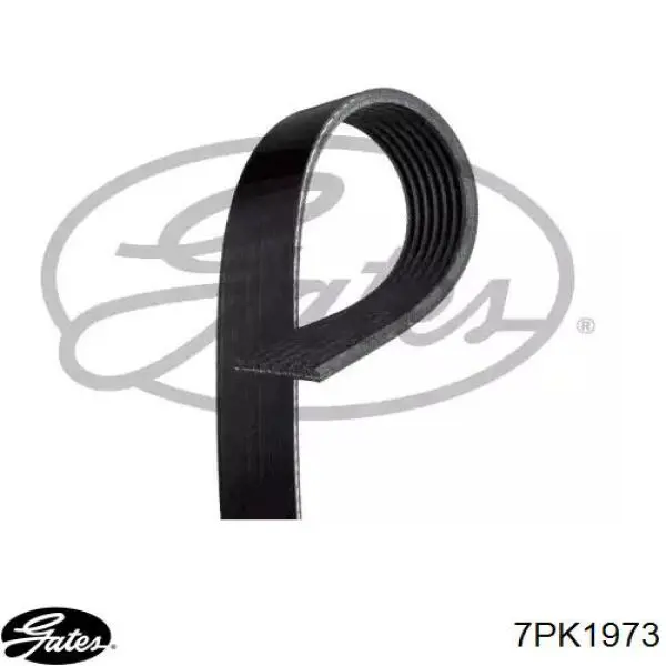 Pas napędowy mechanizmów Gates 7PK1973 cena, od 26,45 USD